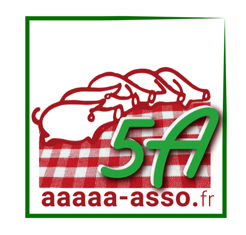 Logo aaaaa